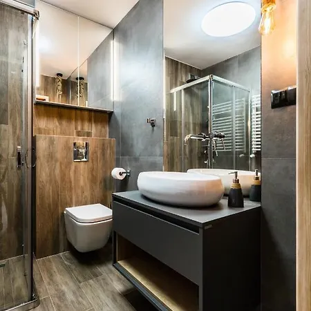 Apartament Ski 扎科帕内